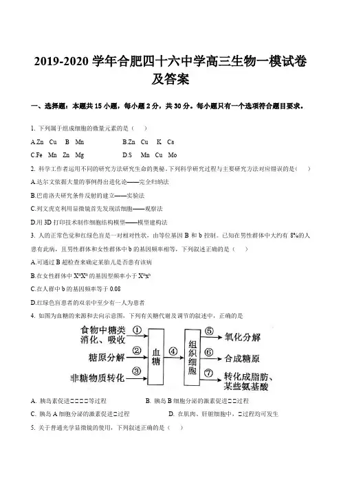 2019-2020学年合肥四十六中学高三生物一模试卷及答案