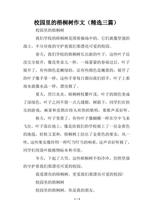校园里的梧桐树作文(精选三篇)