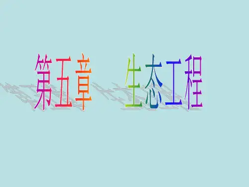 生态工程一轮复习