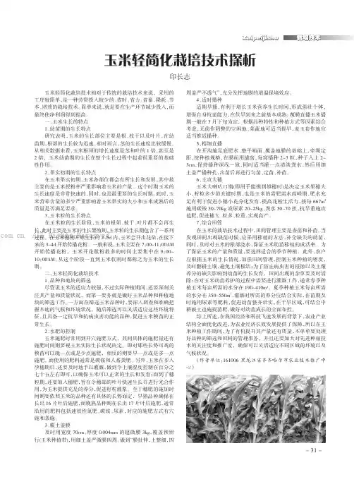 玉米轻简化栽培技术探析