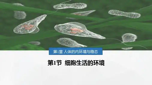 1.1 细胞生活的环境(共34张PPT)