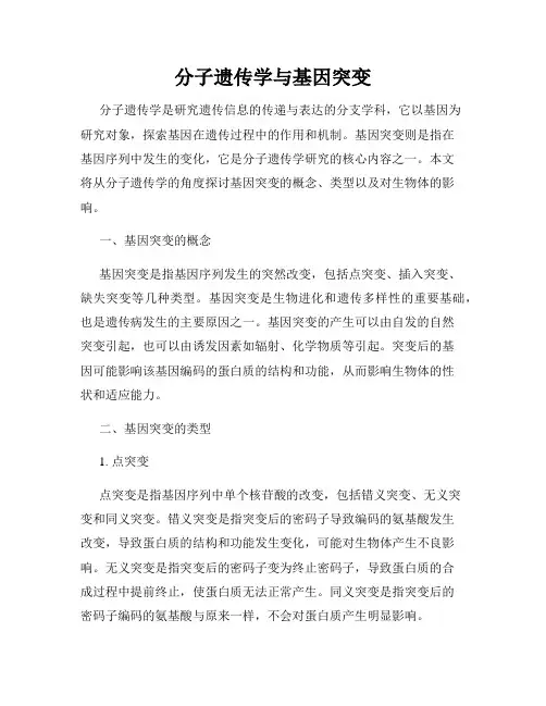 分子遗传学与基因突变