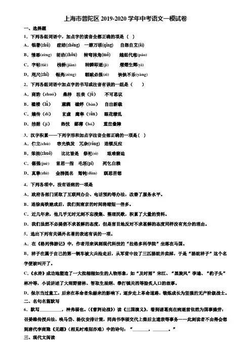 上海市普陀区2019-2020学年中考语文一模试卷含解析