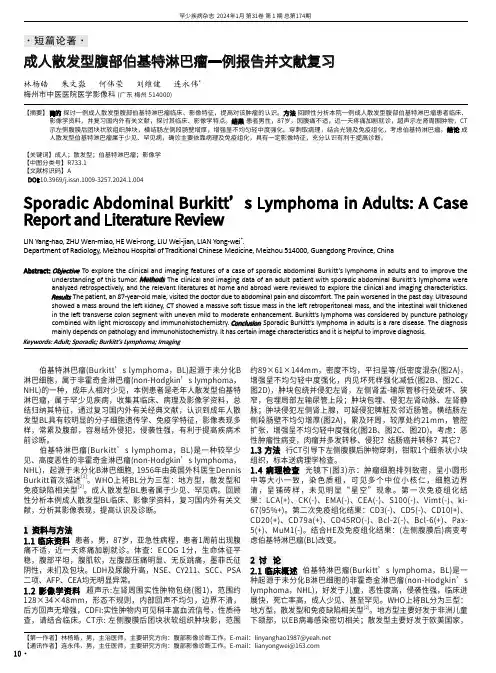 成人散发型腹部伯基特淋巴瘤一例报告并文献复习