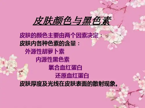 皮肤的美白PPT课件
