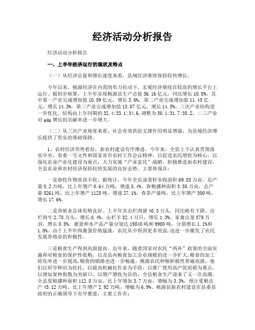 经济活动分析报告