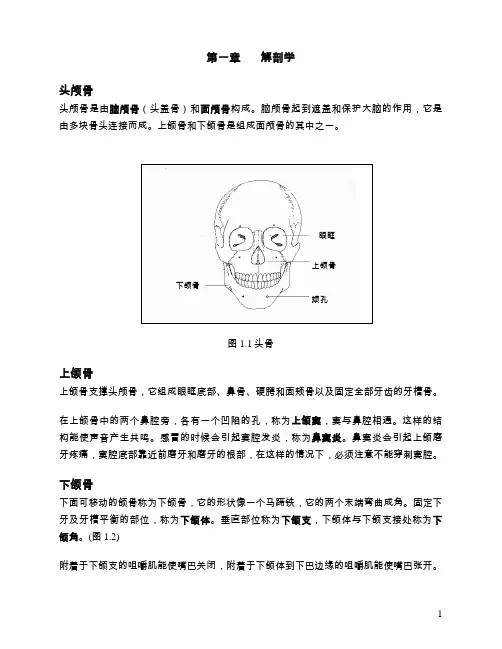 头颅骨是由脑颅骨（头盖骨）和面颅骨构成脑颅骨起到遮盖...