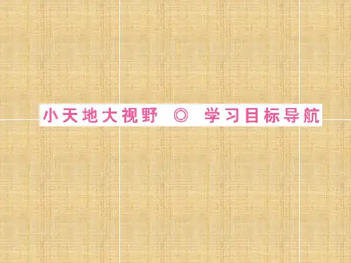 岳麓版历史选修3《和平与发展—当今世界的时代主题》ppt课件