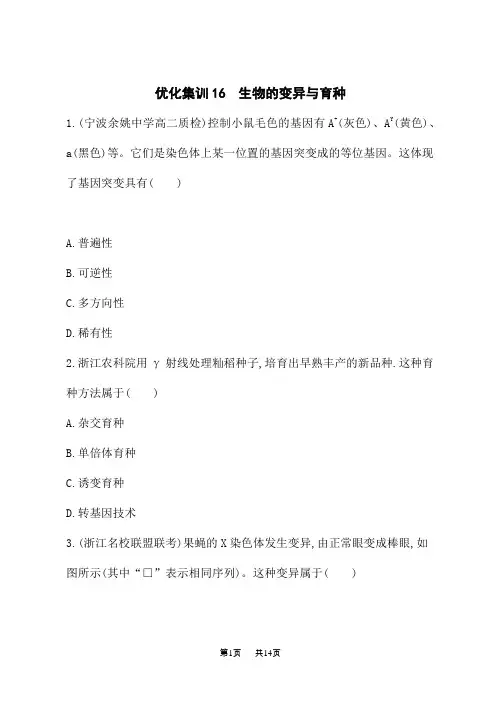 高考生物复习课后习题 优化集训16 生物的变异与育种