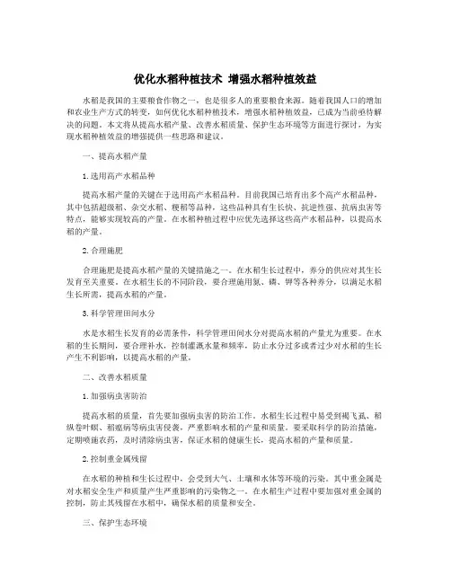 优化水稻种植技术 增强水稻种植效益