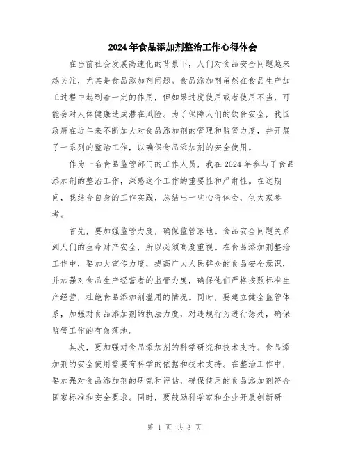 2024年食品添加剂整治工作心得体会