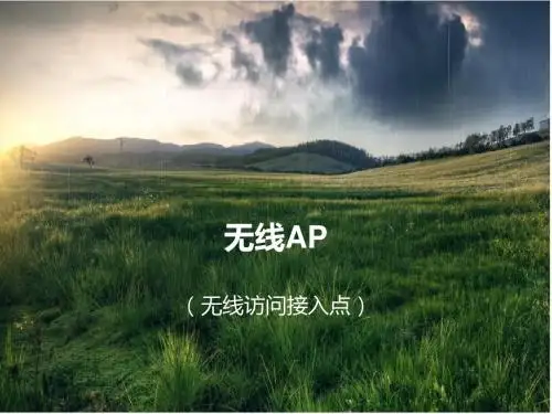 无线AP-无线访问接入点