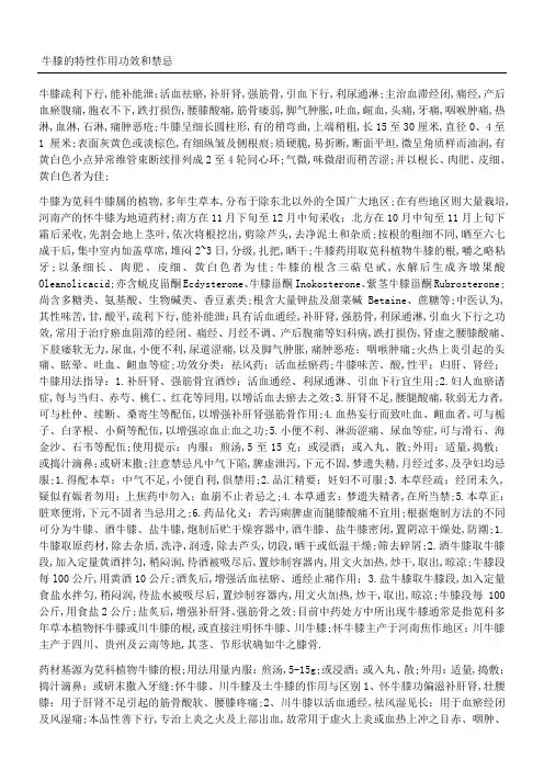 牛膝的特性作用功效和禁忌及药方