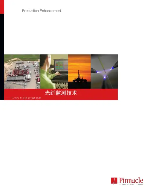 哈里伯顿光纤监测技术