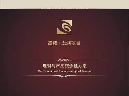 江苏常州高成太湖项目建筑规划及产品概念性方案_123页
