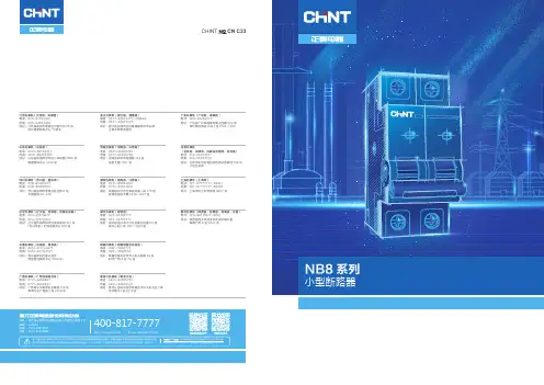 CHINT CN C33 NB8 系列 小型断路器说明书