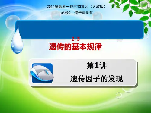 孟德尔的分离和自由组合定律