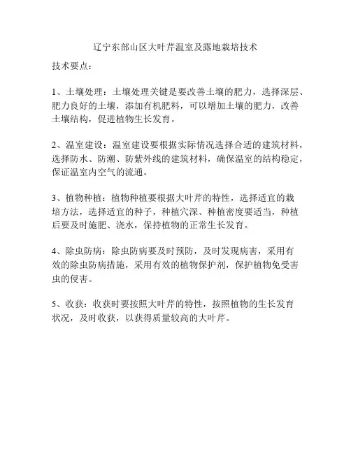 辽宁东部山区大叶芹温室及露地栽培技术