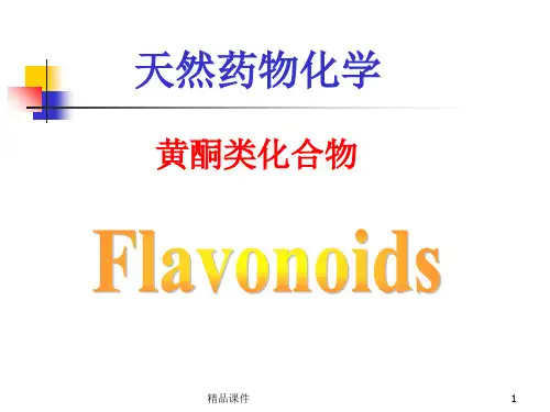 天然药物化学黄酮类
