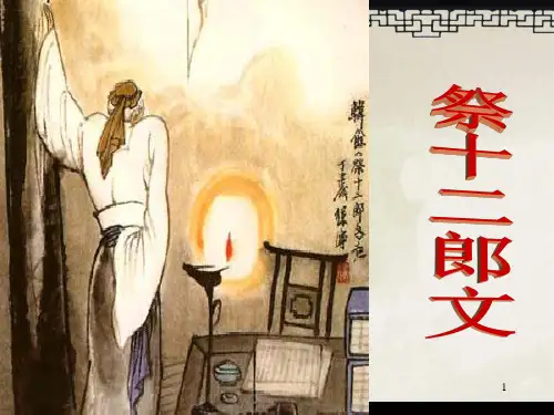 《祭十二郎文》实用简介解题注音翻译PPT课件