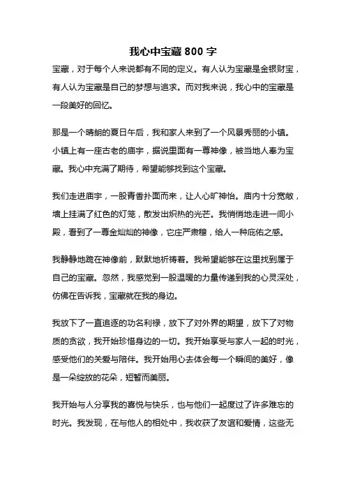 我心中宝藏800字