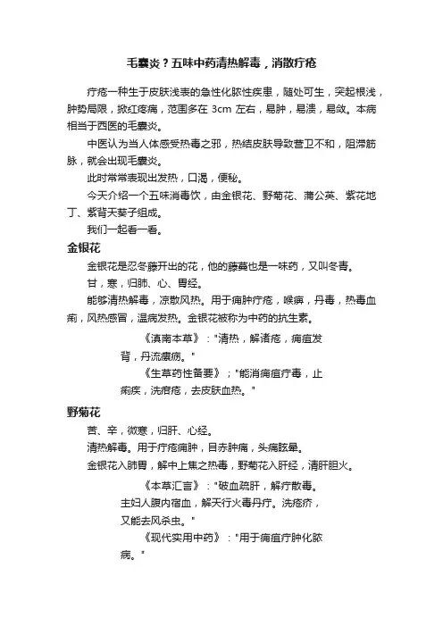 毛囊炎？五味中药清热解毒，消散疔疮