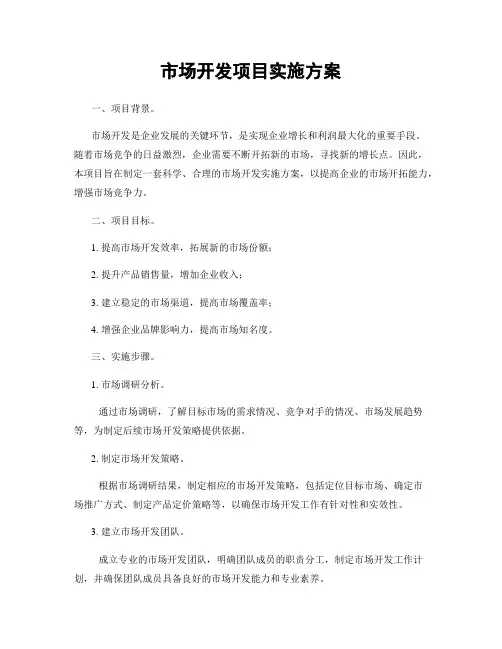 市场开发项目实施方案