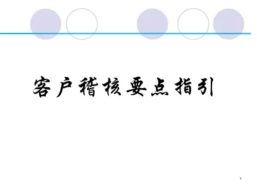 客户稽核要点指引1013