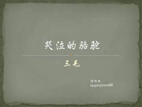 女性文学  《哭泣的骆驼