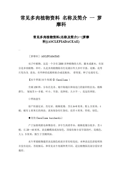常见多肉植物资料名称及简介一萝摩科