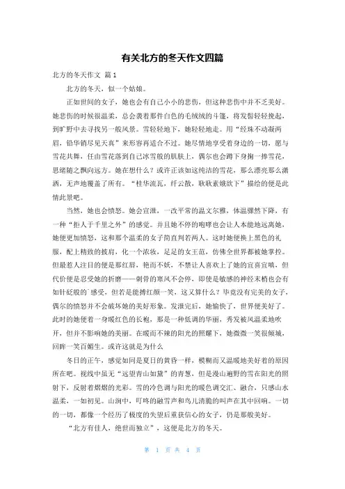 有关北方的冬天作文四篇