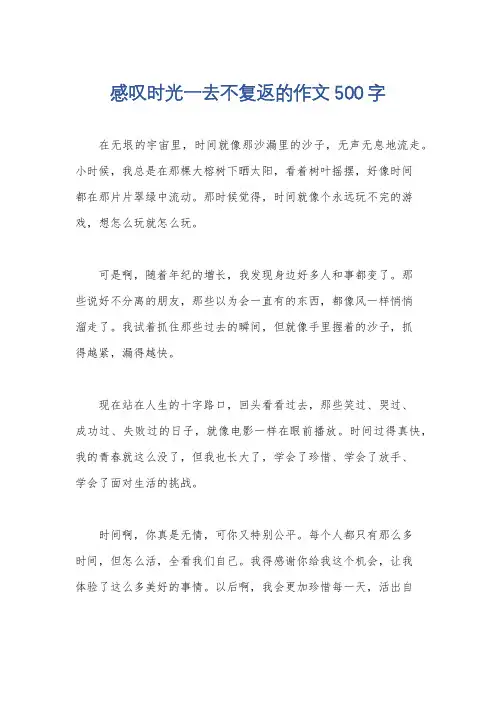 感叹时光一去不复返的作文500字