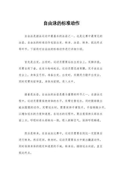 自由泳的标准动作