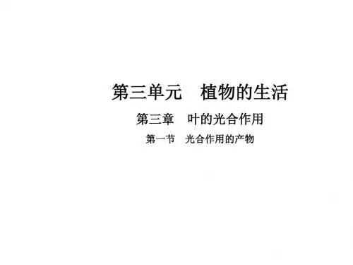 (冀教版)八年级生物上册课件：3.3.第一节  光合作用的产物