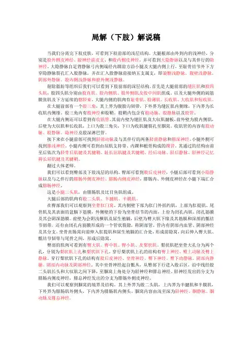 局解下肢解说