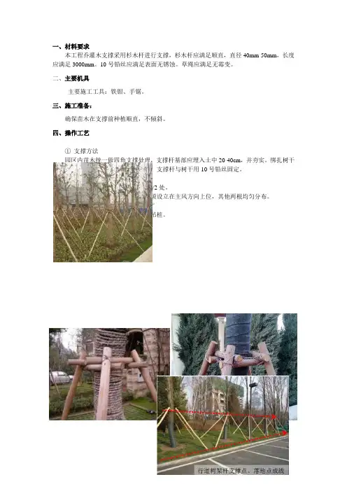 苗木四角支撑技术交底