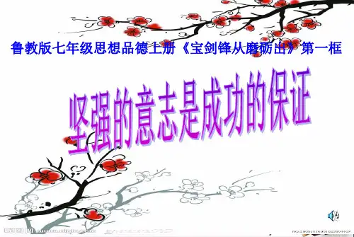 【初中政治】坚强的意志是成功的保证ppt优秀课件