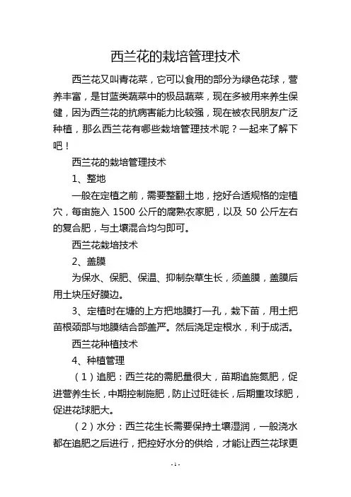 西兰花的栽培管理技术
