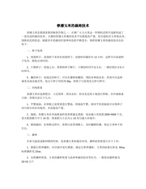 春播玉米的栽培技术