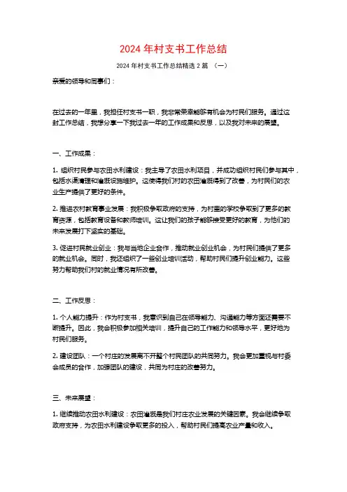 2024年村支书工作总结2篇