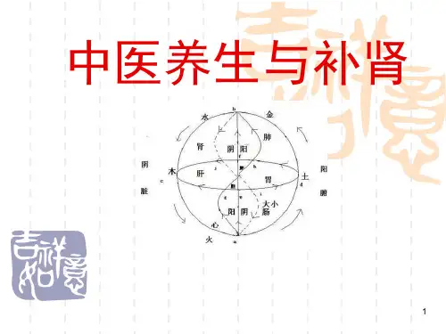 中医补肾养生ppt课件