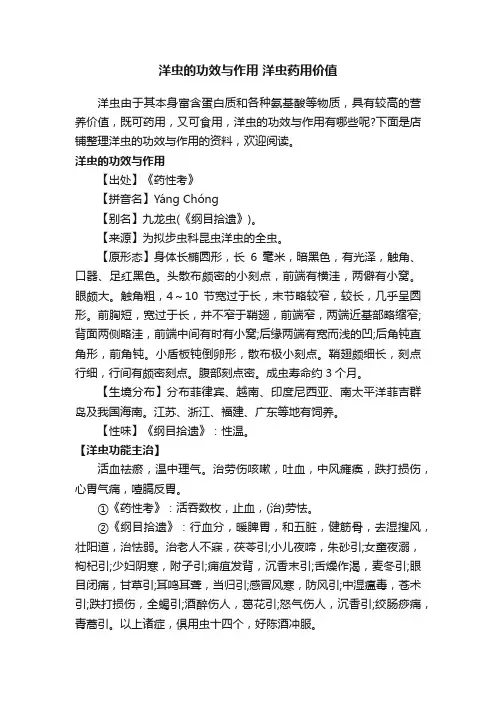洋虫的功效与作用洋虫药用价值