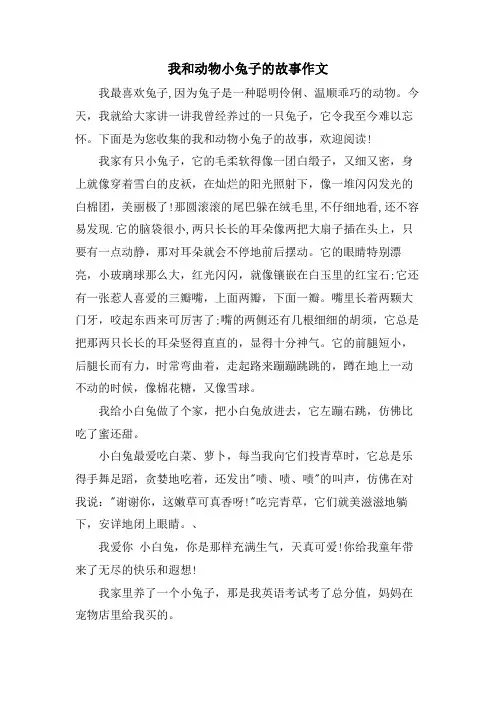 我和动物小兔子的故事作文