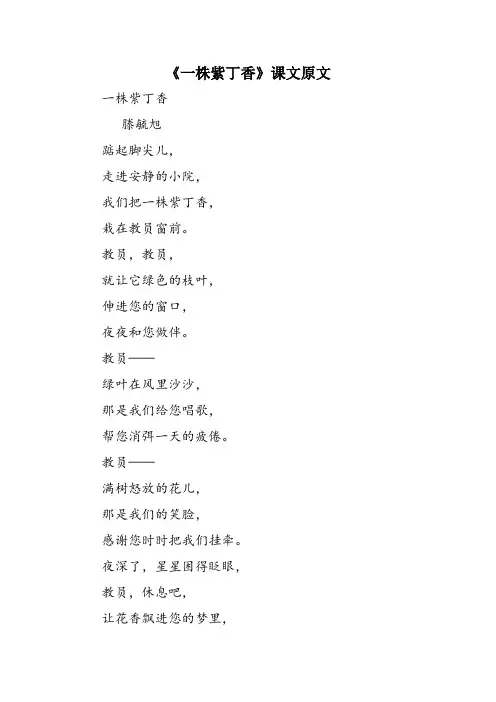 《一株紫丁香》课文原文