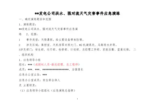 发电公司防洪防汛应急演练.pptx