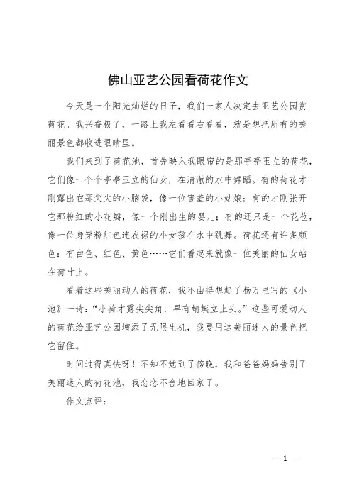 佛山亚艺公园看荷花作文