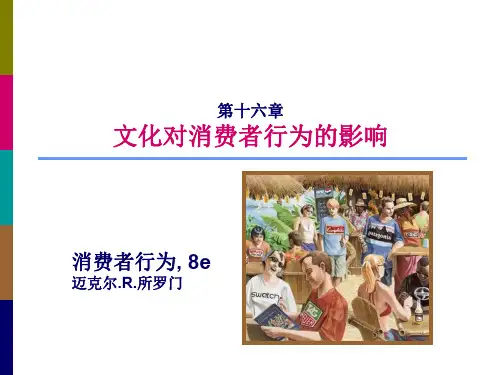 消费者行为学(第8版) 第16章 文化对消费者行为的影响