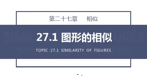 《图形的相似》PPT课件