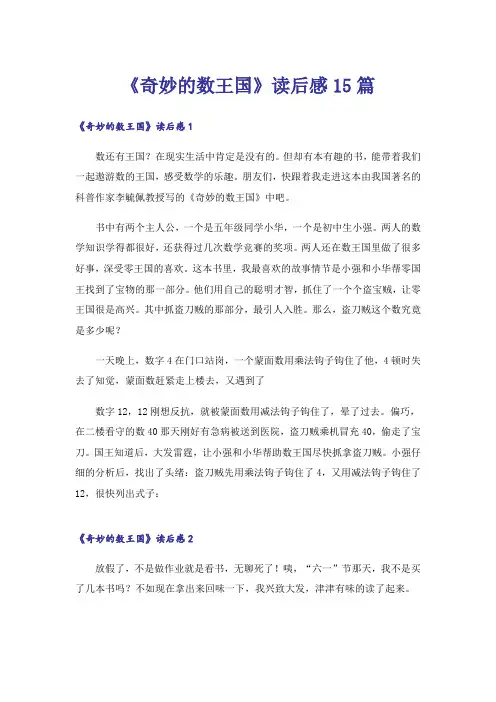《奇妙的数王国》读后感15篇
