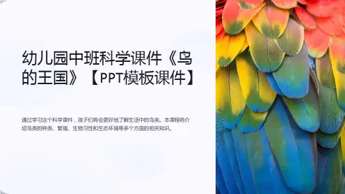幼儿园中班科学课件《鸟的王国》【模板课件】